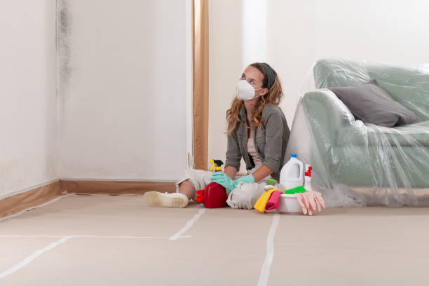 Reliable Mold Cleanup contractor in Haslett, MI by WQB Mold Removal